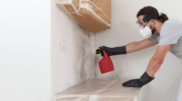 Professional Attic Mold Removal technician working in Morrisville, NC
