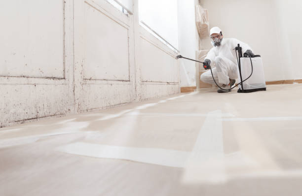 24/7 Emergency Attic Mold Removal experts in Morrisville, NC